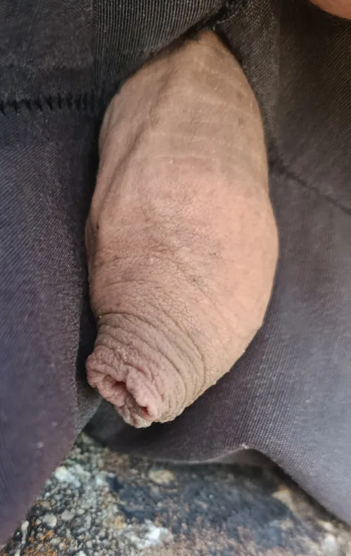  by Fancy_Safety_8291