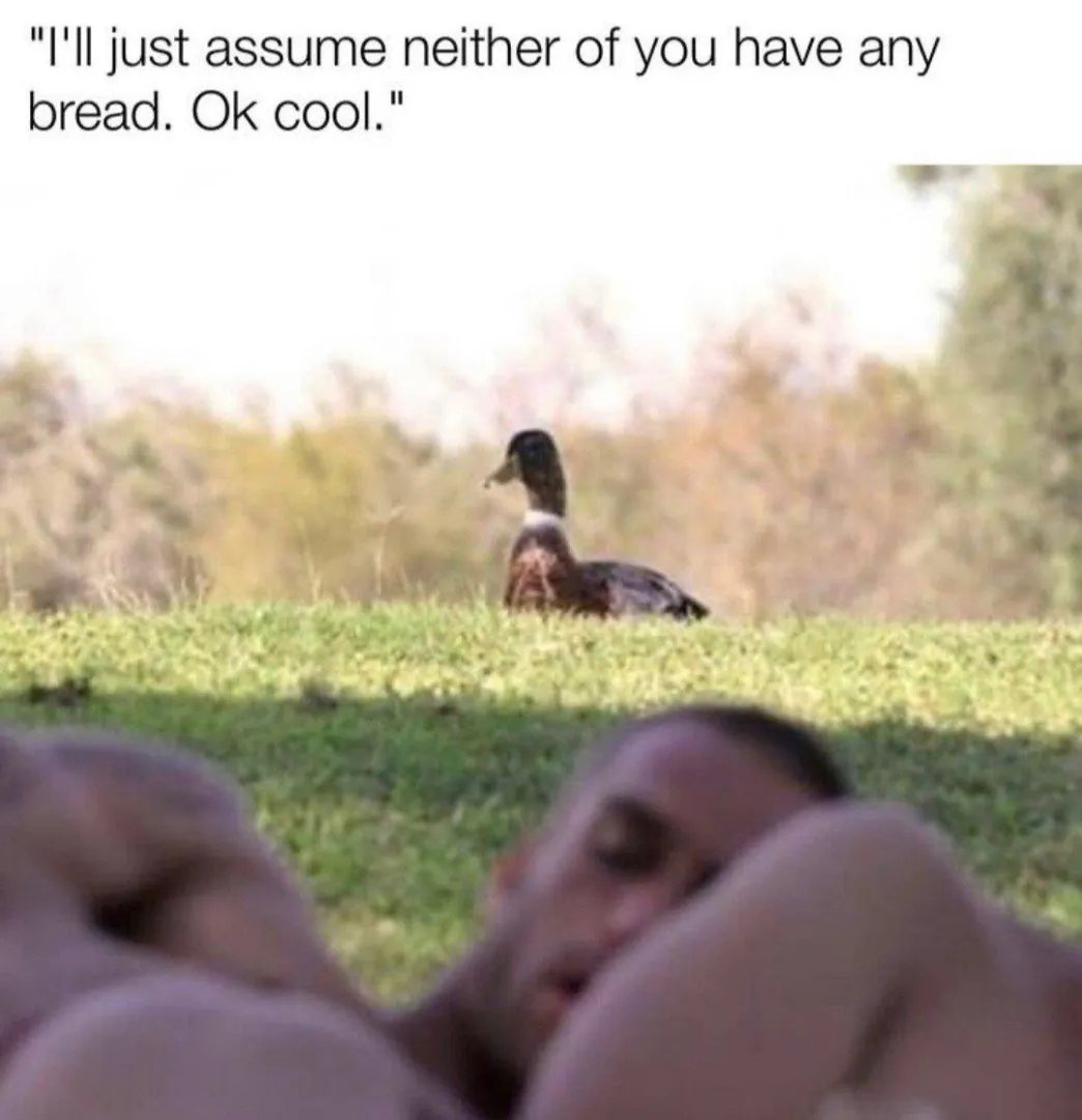  posted by jvieragain