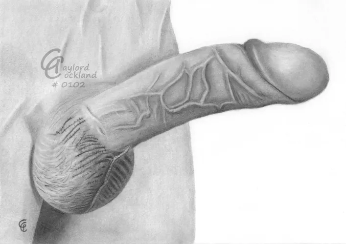 (#102) erect dick with veins, drawn by me by idffipff