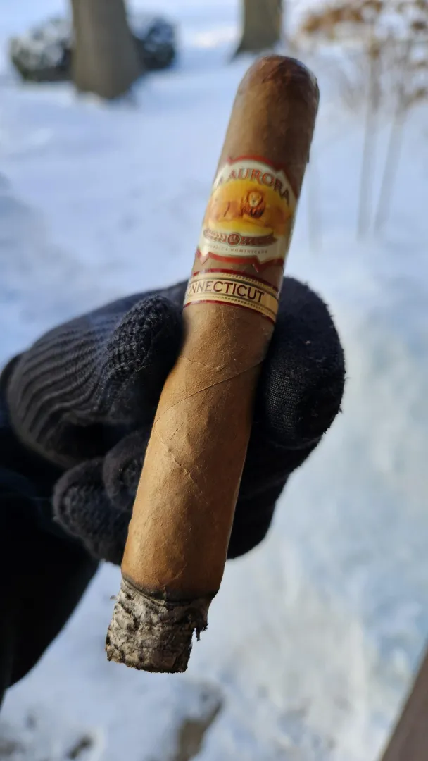 10°F? No problem. La Aurora 1987 Connecticut Toro. posted by maxfliguy978