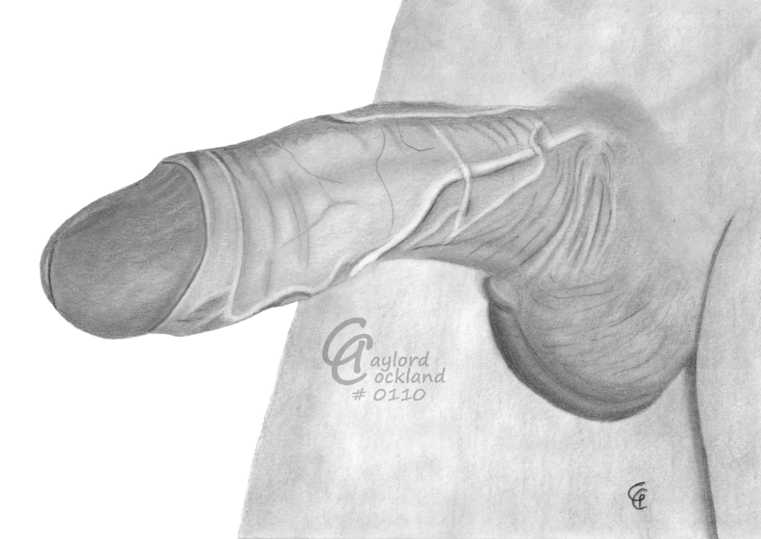 (#110) erect penis with open foreskin, drawn by me posted by idffipff