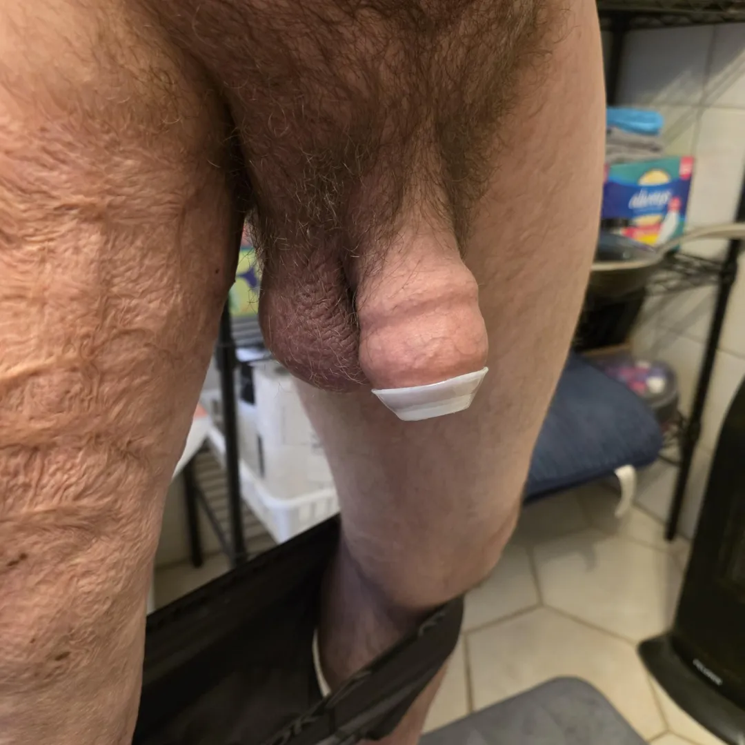 1.75 Pear with retainer. posted by GROWER2-6