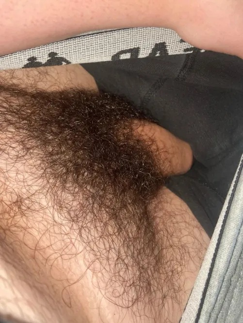 (18) nunca vou me depilar by novin_peludo