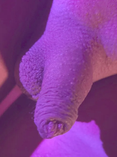 [18]Lets chat or sumthing by Soft-Cloud-7331