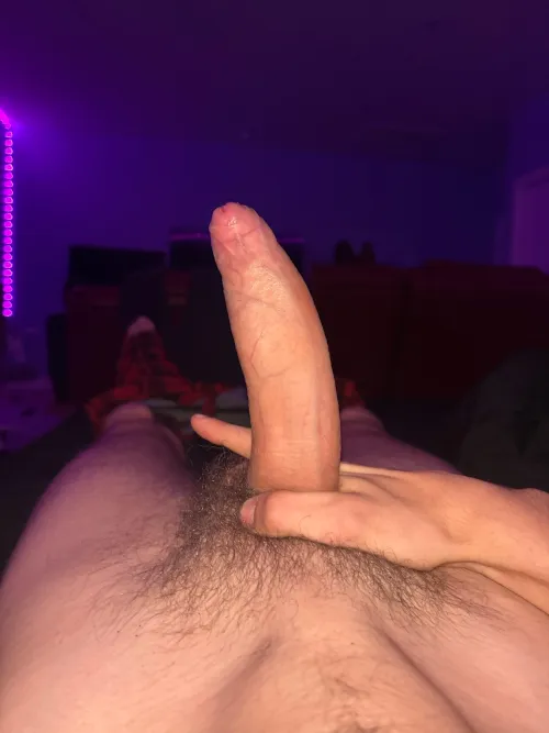 (18m) east bay looking for blonde girl older or same age idc by Impressive_Quote_476