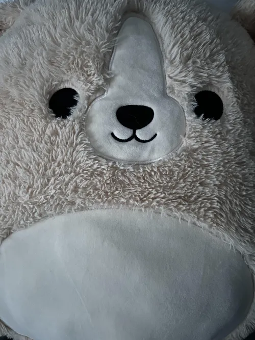 18M New Little hoping to talk to a daddy/caregiver who wants to meet a little and his stuffie! (All 18+ guys are great!) by These-Mirror6853