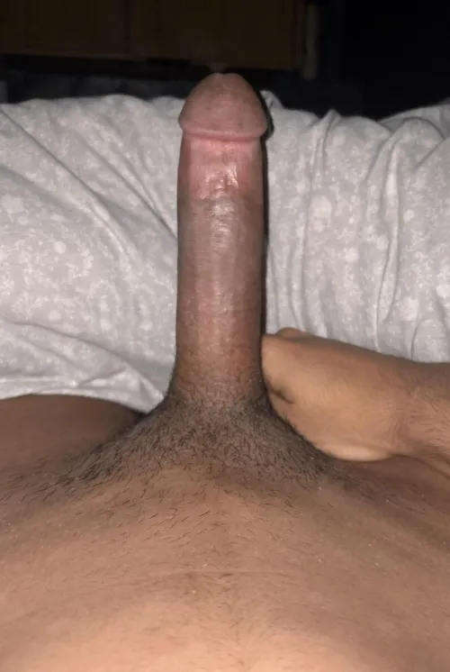18m4f Bradford, what would you do with my morning wood? by RedController73