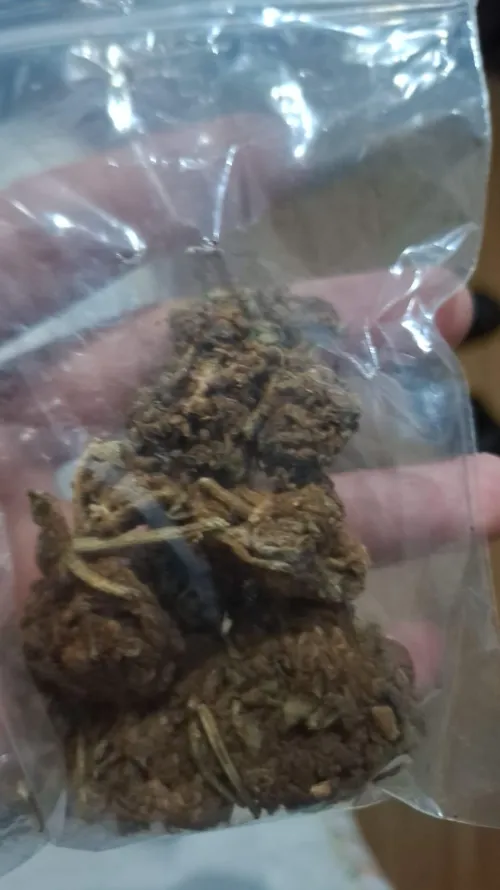 19 a g dessa pineaple,valeu a pena? by Warm-Vanilla-7557