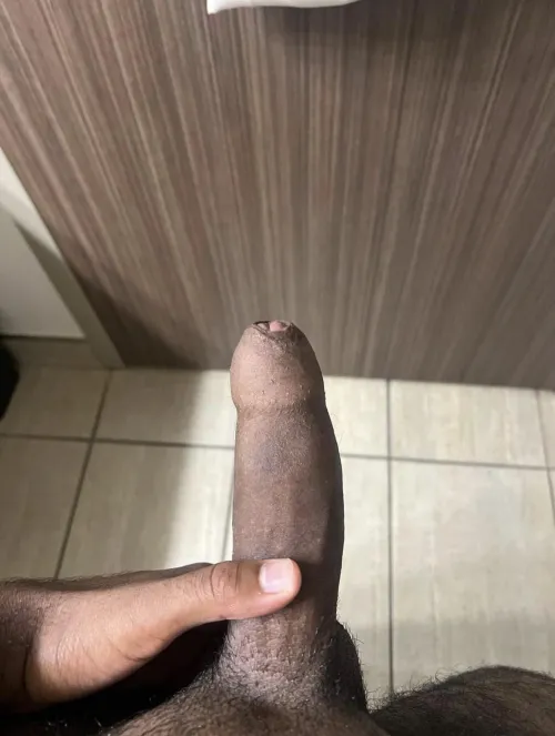 19 m bull visiting the city within a week by sandman200606