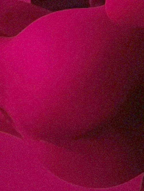 19 [R4R] heyy :) by sluttIndependence-_-