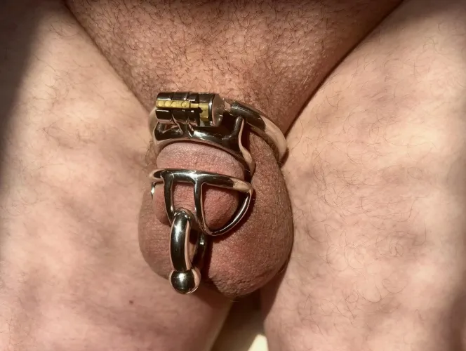 1G Piercing W/ Small Cage  by Wrong_Coconut_6075