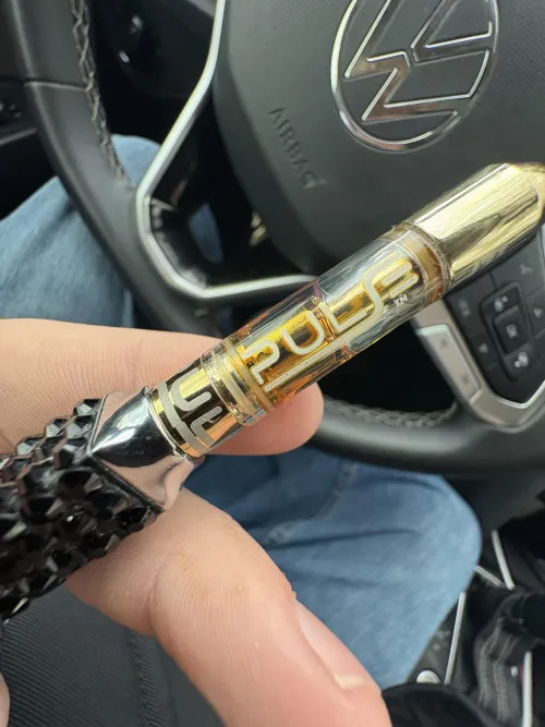 1g pulse in 2026? by rabbitwomenbruv