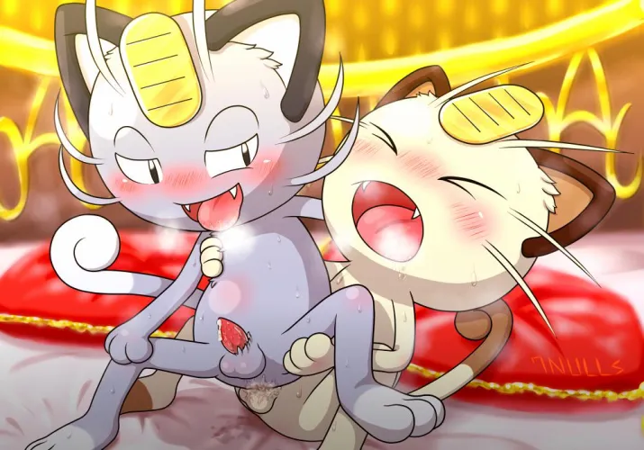 2 freaky kitties (unknown) by Phoenix_Charzard