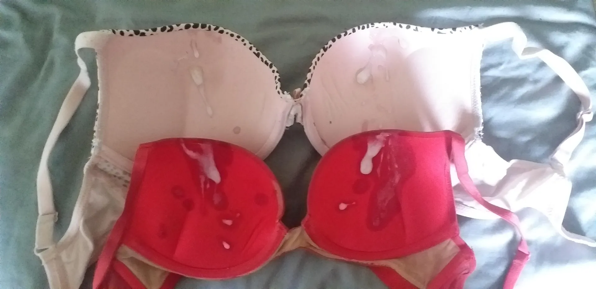 2 well worn, very padded cum worthy bras  posted by Ashamed-Still9407