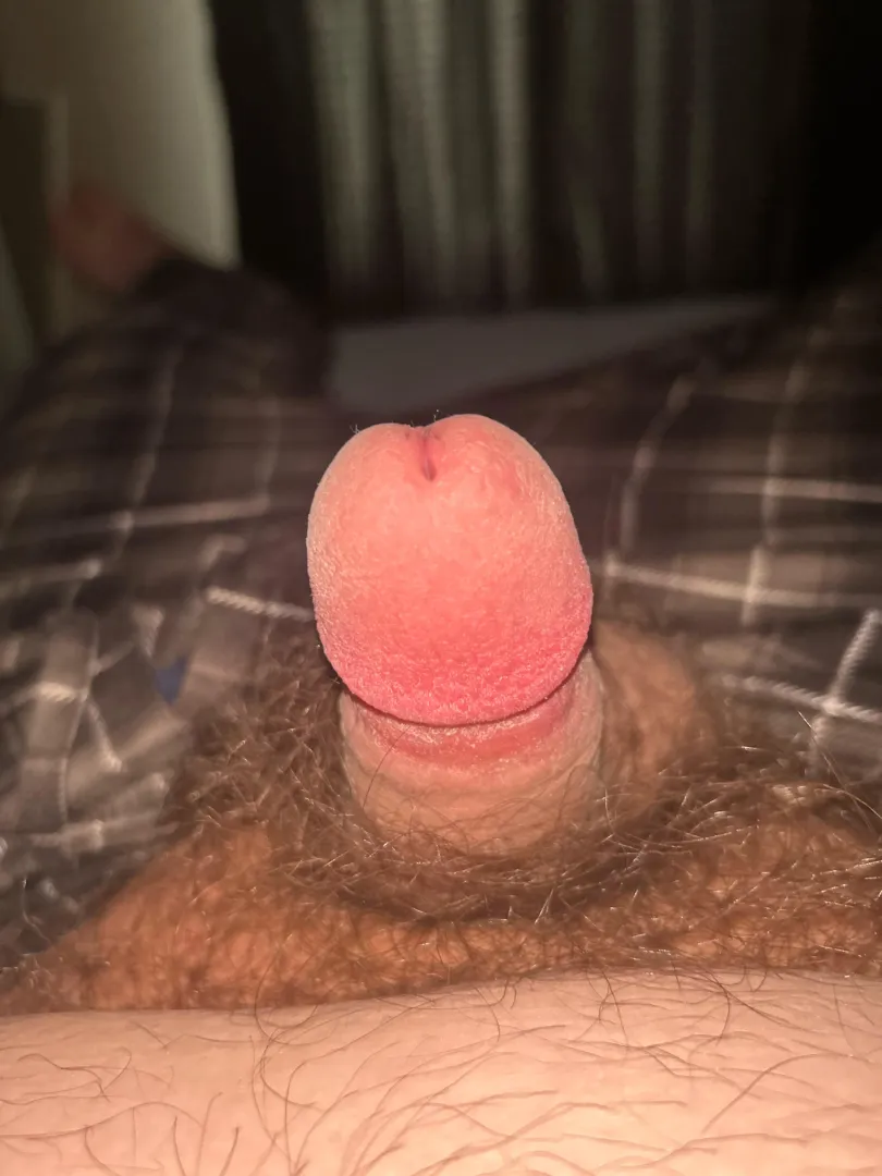 20 chubby looking to be someone’s full time ass eating slave to fuck your ass hole with my tongue and suffocate me under your ass. Make me eat your farts if your interested please add my snap flyersfan1123 don’t be shy it’s all secret posted by No-Advantage5499