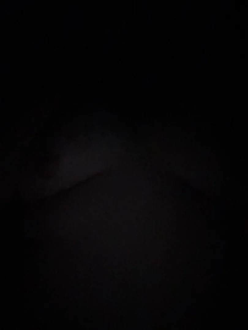 20 M4M Bozeman - college destress posted by Friendly_Property_17