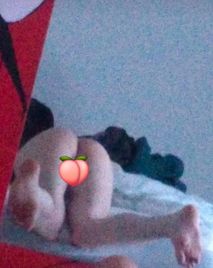 20 [t4m] looking for bbc posted by CombinationBright790