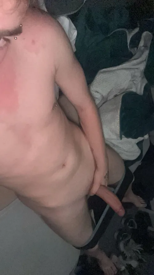 [20] wer will sich drauf setzten by maik_1802