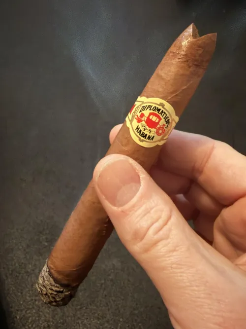 2017 Diplo 2 by SPQRstonks