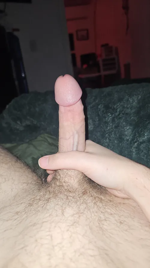 20M,4F located Eugene! by tstitchr626