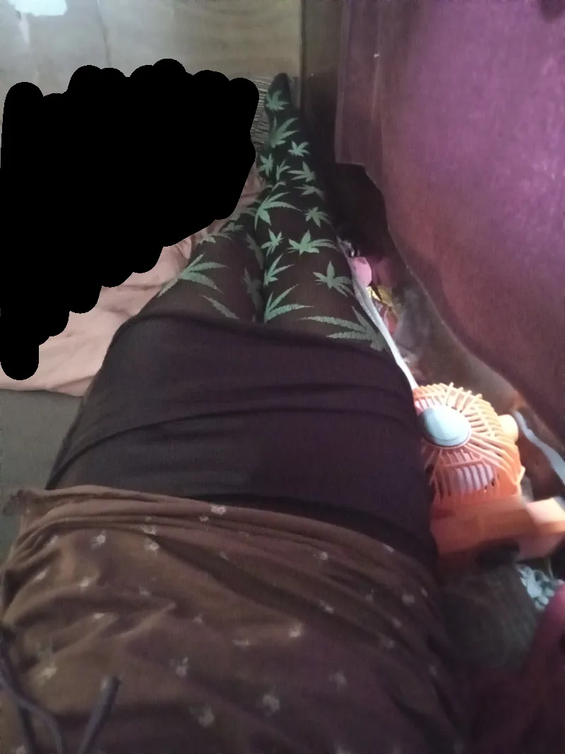 21 Hillsboro carplay nights posted by [deleted]