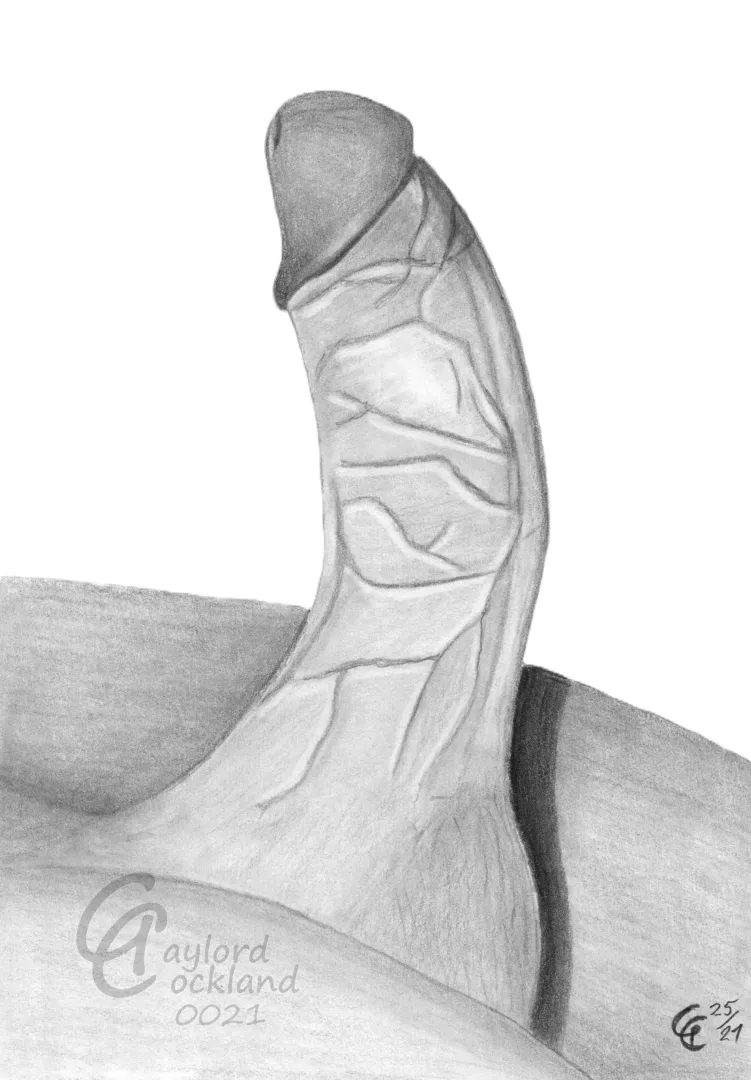 (#21) massive erect cock with open foreskin, drawn by me posted by idffipff
