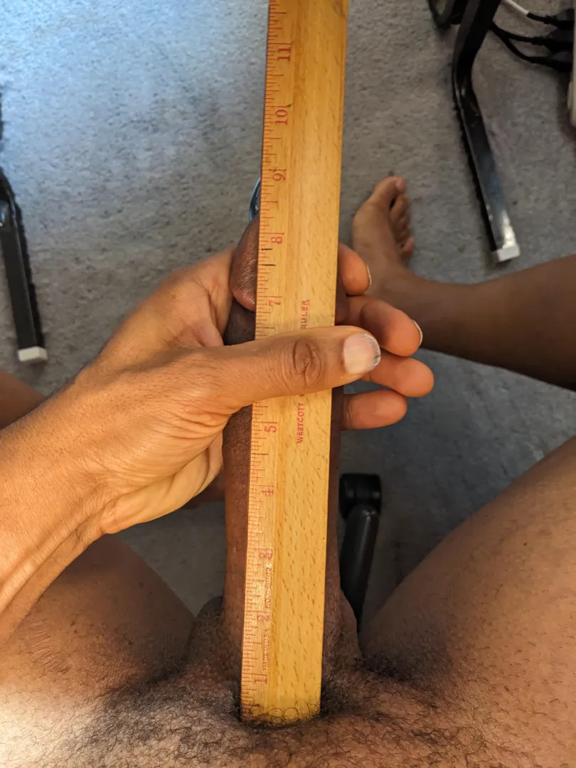 21cm posted by theoryxpractice