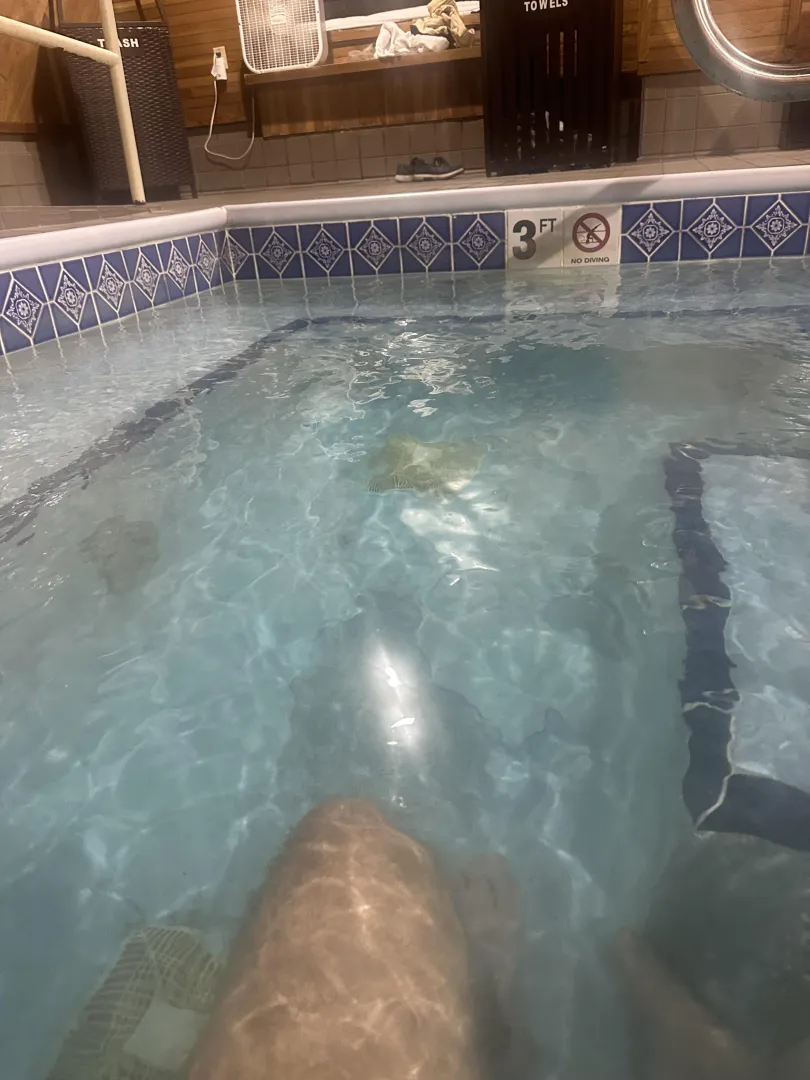 21m4mf clearfield posted by No-Move-3869