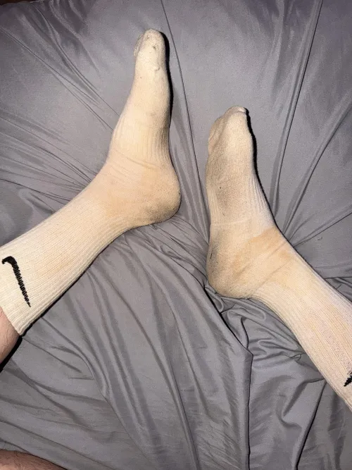 (22) the scent is amazing — hmu by kotasleep