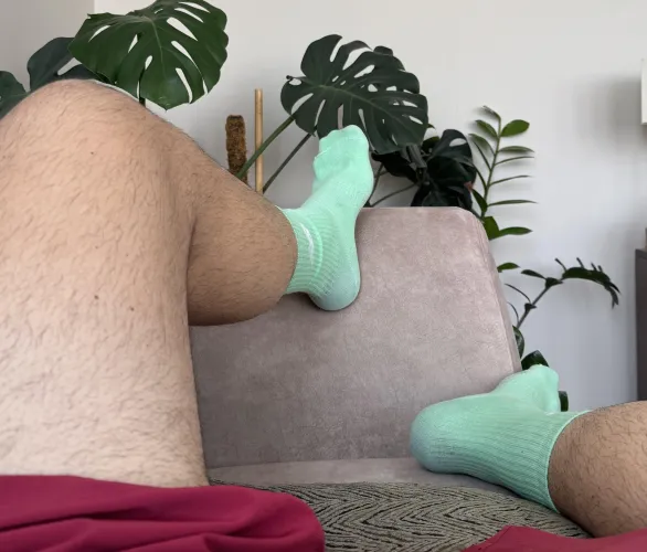 (22) by Strange_Coyote_790