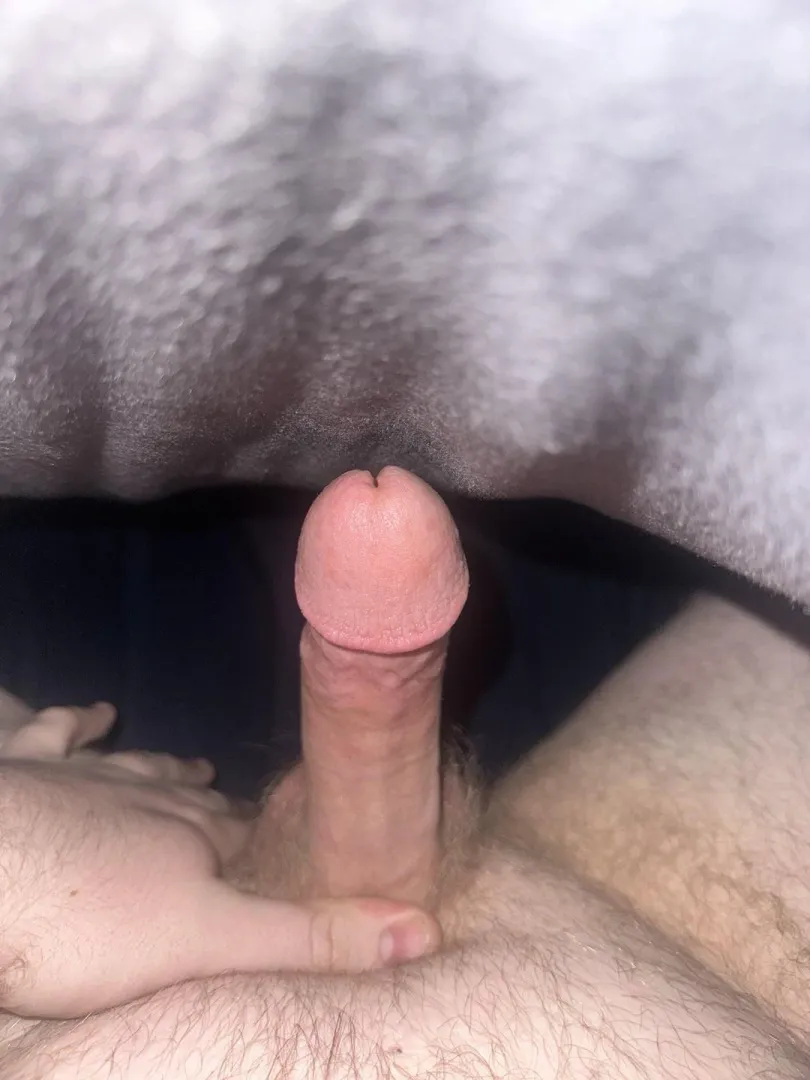 22Bi [M] sub looking for a femdom or a couple to chat and hang out with posted by Jaded-Yard-4955