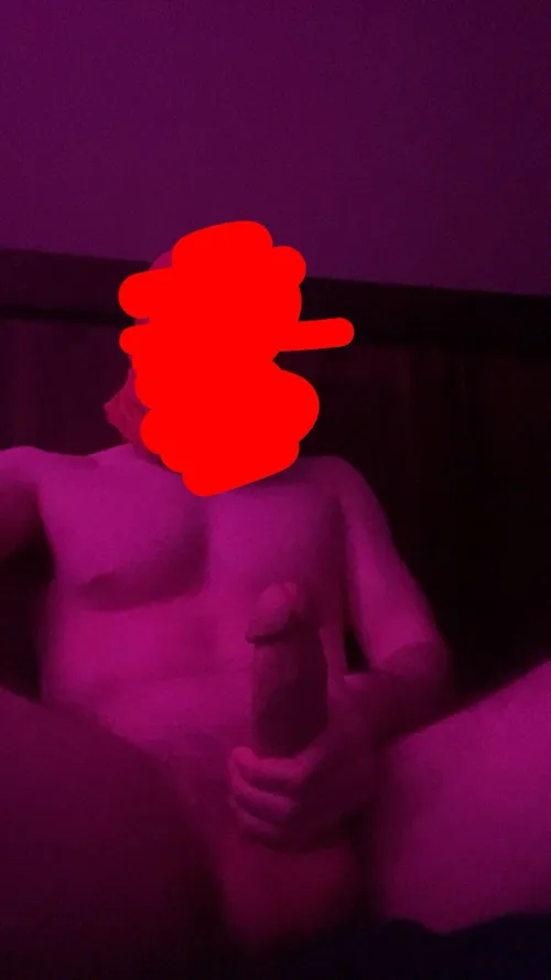 22m Brighton bull by Radiant-Dress2807