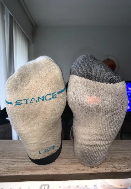 (23) which socks are you sniffing first dude? by Woodyguy7