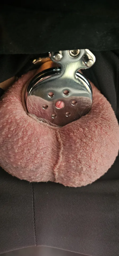 23m looking for m/f someone to help me stay lockup and to sit on my face(and perhaps some pegging☺️) if that sounds good hmm you also get to pick which one i wear. A flat cage(in pic, semi flat or fufu(can dm pics)#Gilbert posted by Obvious_Phrase7342