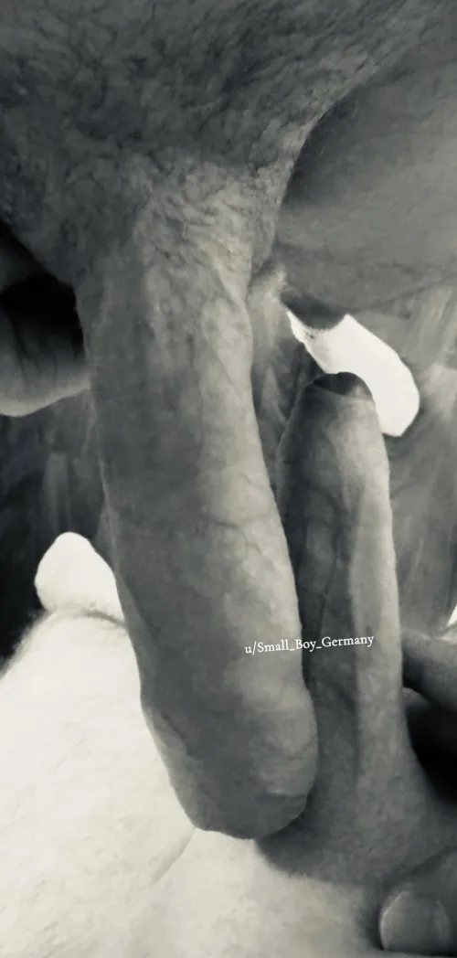 [24] semi vs. hard by Small_Boy_Germany