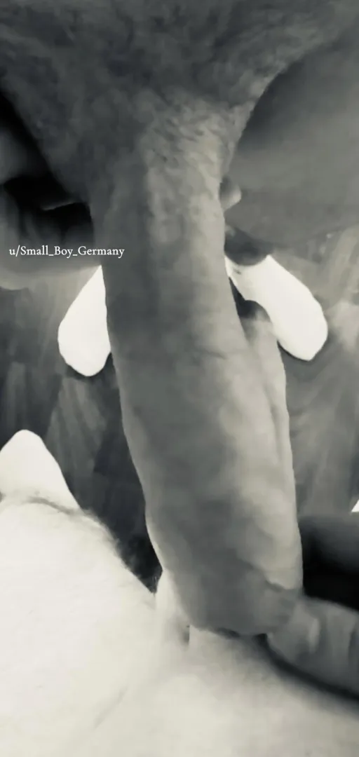 [24] that way I can at least hide him sufficiently… he is semi… show me a bigger one (german) posted by Small_Boy_Germany