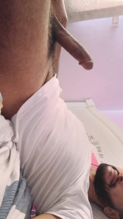 25 Egyptian Top Looking to breed, looking for a host in Egypt. Dm me asap. by Original-Big5422