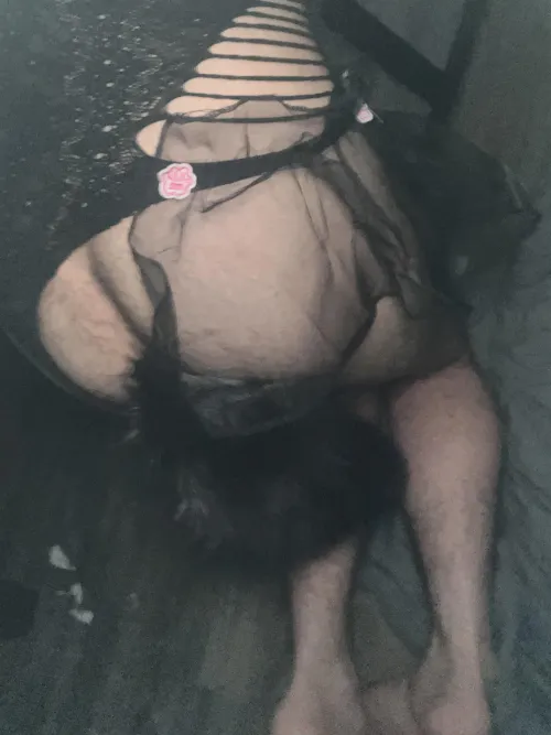 25 pup ready for fun by Wolfpack490