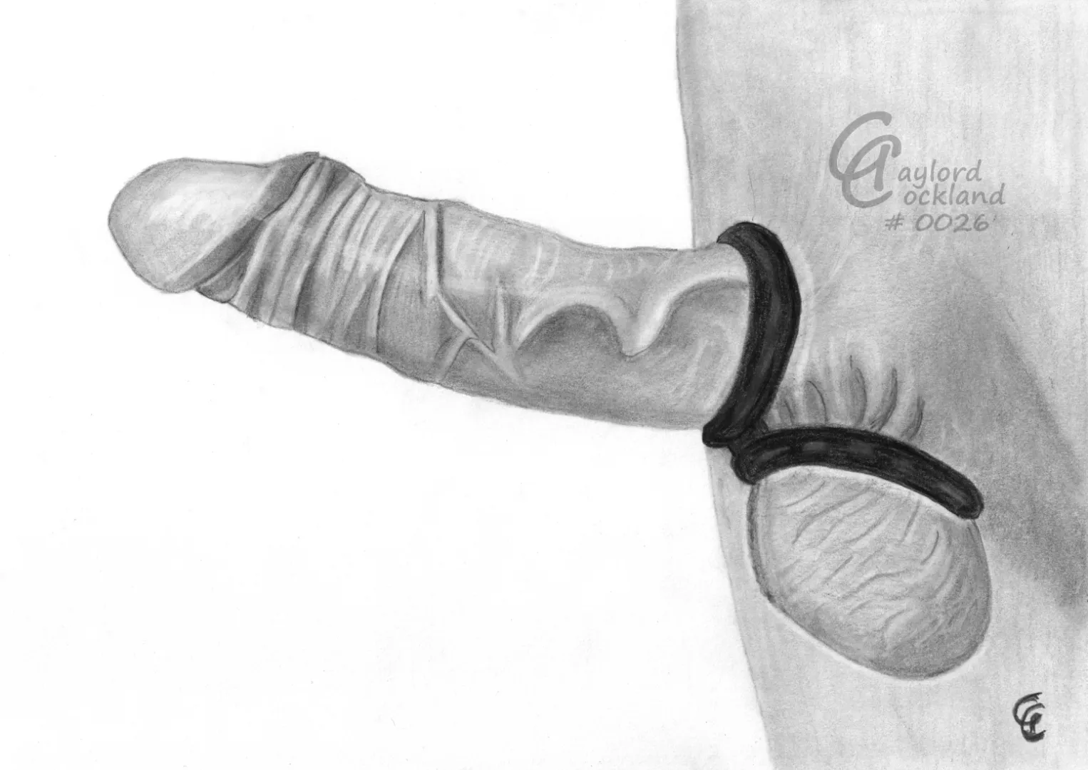(#26) boner with open foreskin and cockrings, drawn by me posted by idffipff