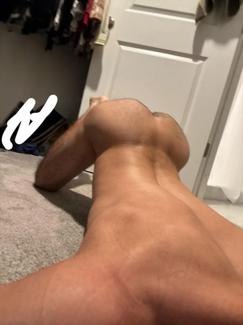 26 oh look I made another account cause I can’t stay away from bear men using me posted by bluesnapkid