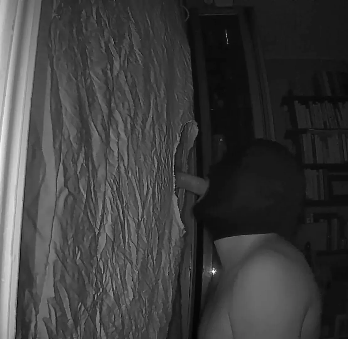 26TG looking to suck tonight posted by Deep_Platypus2550