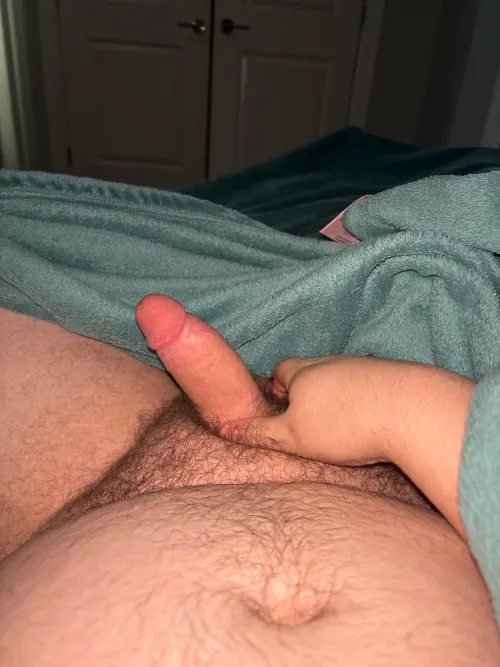 27 Camrose by Intrepid-Flamingo833