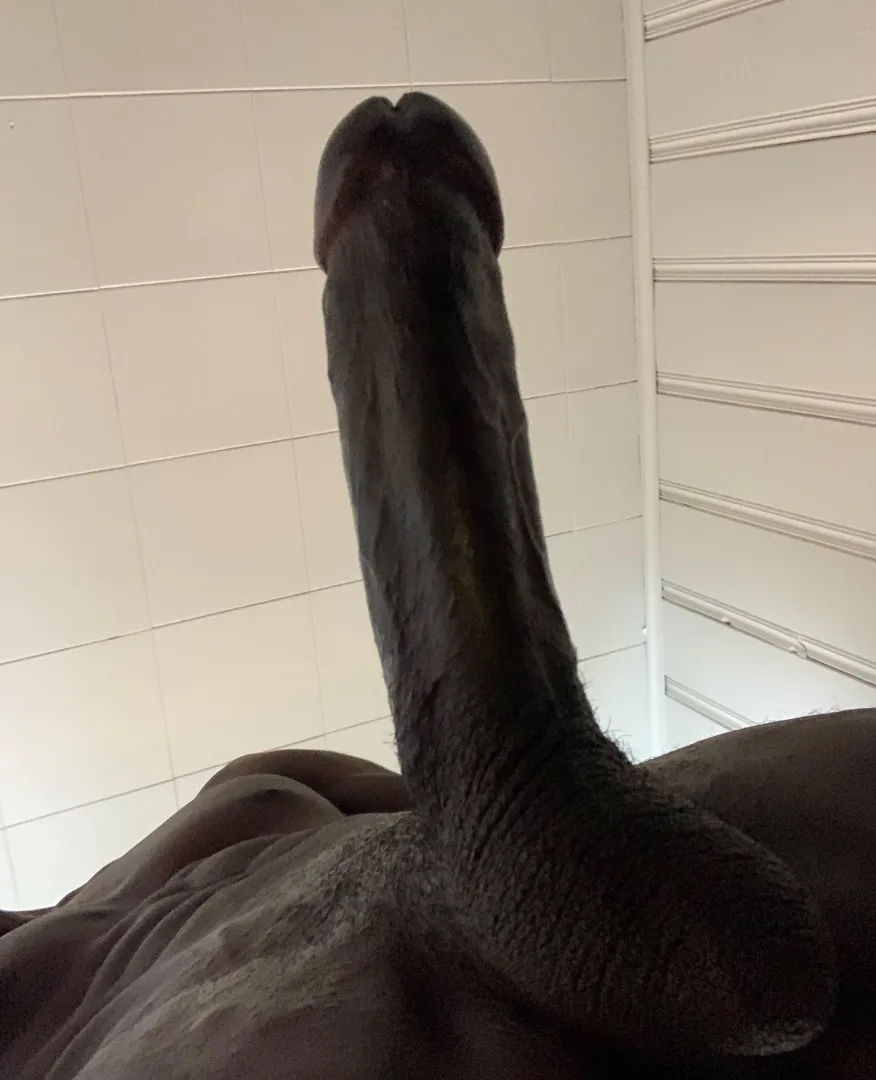 27 dearborn - bbc pleasure dom 4 u? posted by moonlite-sonata313