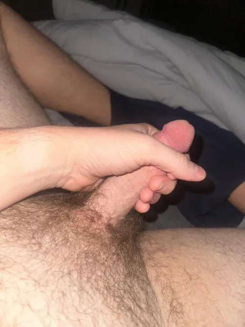 27 hosting to suck or swap head in N Phx and edge by AlternativeArtist775