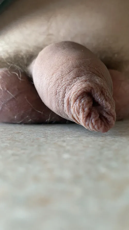 27 - Just a close-up by bhgdude