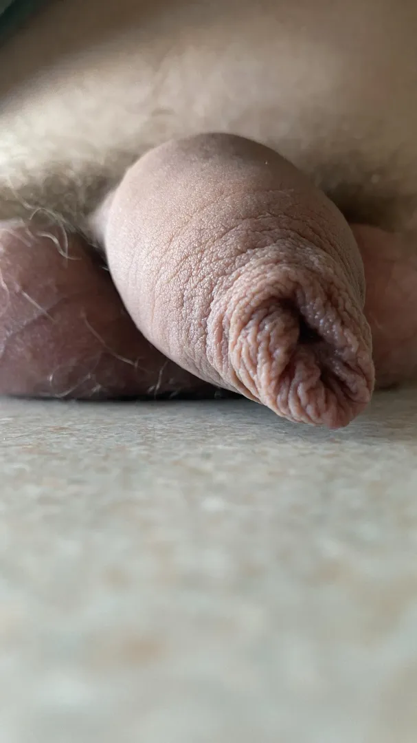 27 - Just a close-up posted by bhgdude