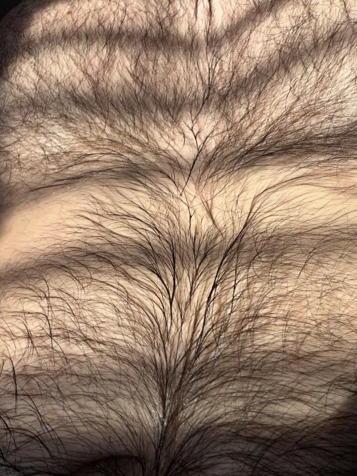 27 musky hairy verbal straight jock @harrisonw2000 by kingkong4204