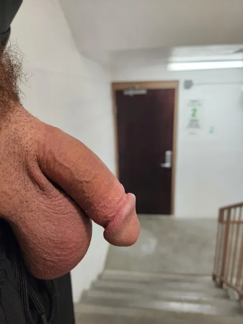 [27] You see these big balls and this softie in the staircase wyd by IntentionLogical4646