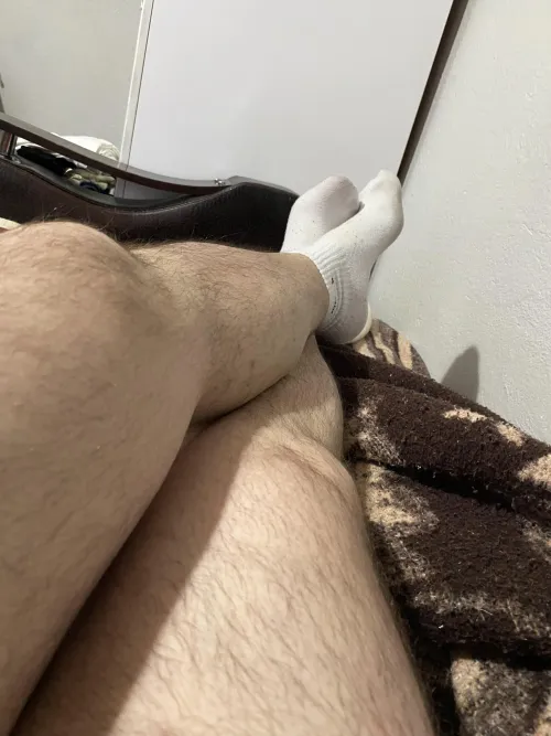 27/174/104 Bear  by godofthequila