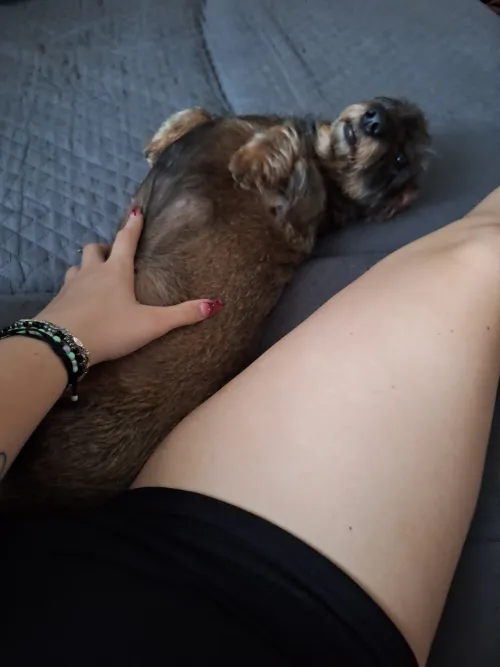 27F Leuven, bijna klaar met examens en wil stoom afblazen by Historical_Habit_736